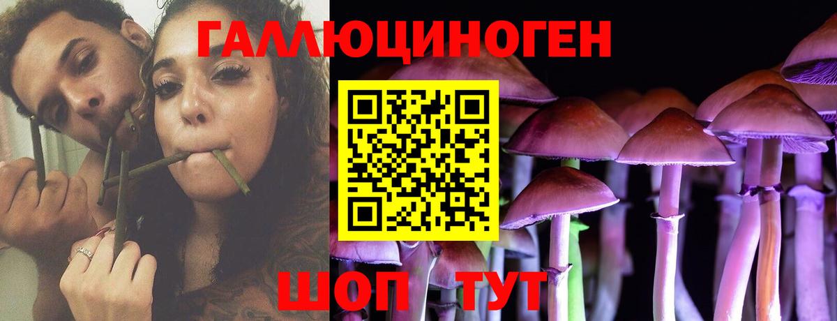 Екатеринбург  Псилоцибиновые грибы прущие грибы  Вход с VPN 